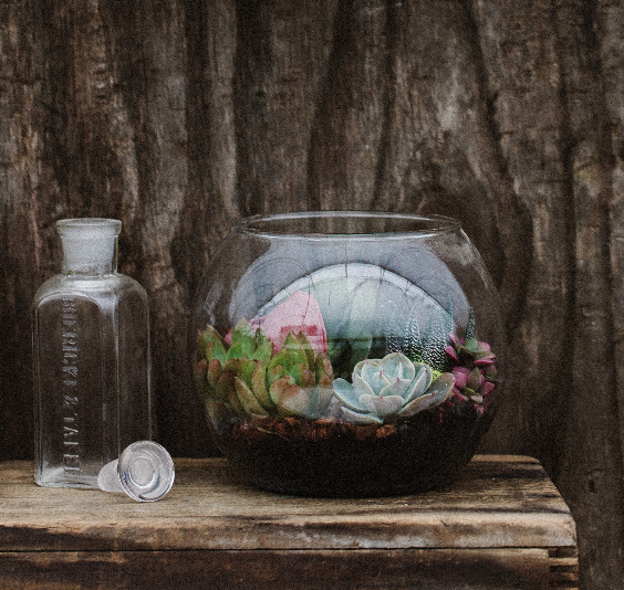 Large Freestanding Succulent Terrarium-image